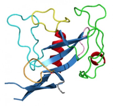 Ribonuclease mitogillin (Asp f I), mouse monoclonal antibody [clone PD7]